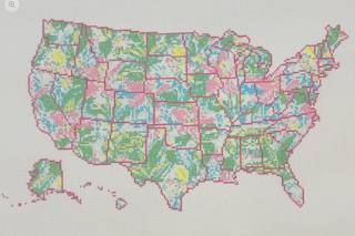 M-State Palm - USA by Blue Waters Needlepoint (thumbnail)