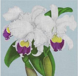 Purple and White Orchids by Mary Lake Thompson (via Melissa Shirley) (thumbnail)