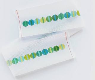 Libby Belt by Elizabeth Crane Swartz (thumbnail)