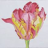 Regal Parrot Tulip by Jean Smith Designs (thumbnail)