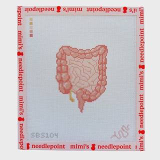Anatomical Lower Digestive Tract by Spellbound Stitchery (thumbnail)