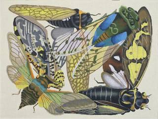 insects green by Melissa Shirley Designs (thumbnail)