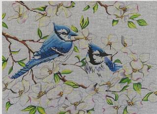 AN117B Blue Jays by Colors of Praise Art Studio (thumbnail)
