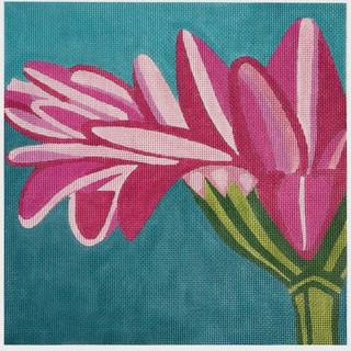 Pink Gerber Daisy on Blue by Alice Peterson (thumbnail)
