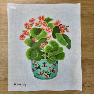 Shaped Begonia by Barbara Eyre (thumbnail)