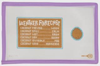 Coconut Weather Station by Frances Abel Studio (thumbnail)