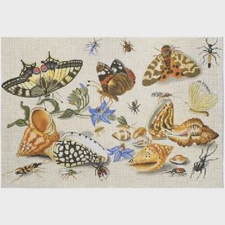 Shells and Insects by Melissa Shirley Designs (thumbnail)