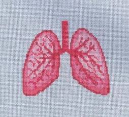 Anatomical Lungs by Spellbound Stitchery (thumbnail)