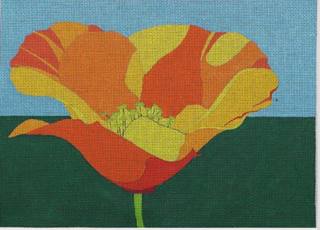 ZE992 California Poppy on 18m by Zecca (thumbnail)