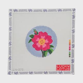 Flowers of America | Wild Prairie Rose by Lucky Lotus (thumbnail)