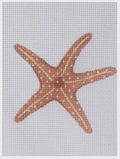 Starfish Mini by Julie Pischke Designs (thumbnail)