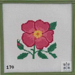 Wild Rose by Patricia Sone (thumbnail)