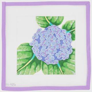Hydrangea by Chris Lewis Distributing (thumbnail)