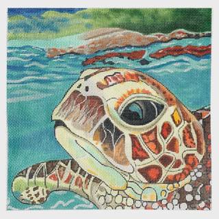 Loggerhead Reflections by Purple Palm Designs (thumbnail)