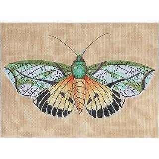 Moth - Orange/Green/Black by Meredith Collection (thumbnail)