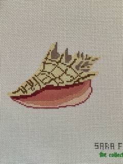 Conch Shell by The Collection of Designs (thumbnail)
