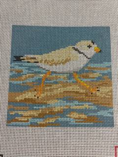 Piping Plover by Ann Kaye Studio (thumbnail)