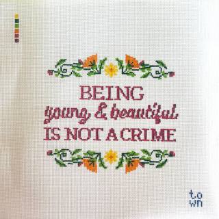 Being Young + Beautiful is Not A Crime Canvas by Town Stitch (thumbnail)