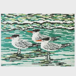 Royal Terns on 18 by Needle Crossings (thumbnail)