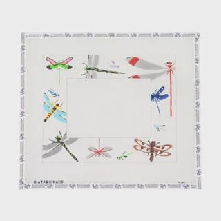 Dragonfly Frame by Chris Lewis Distributing (thumbnail)