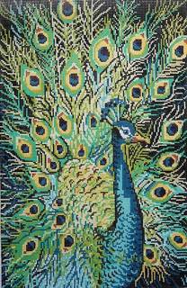 Peacock Profile by Birds of A Feather Designs (thumbnail)