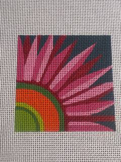 Pink Daisy Square by Alice Peterson (thumbnail)