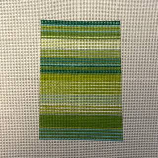 Green Stripes Passport Insert by Elizabeth Crane Swartz (thumbnail)
