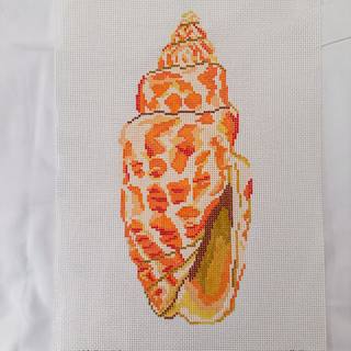 Large Miter Seashell by Initial K Studio (thumbnail)