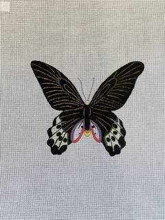 Butterfly, black/purple/pink by Colors of Praise Art Studio (thumbnail)