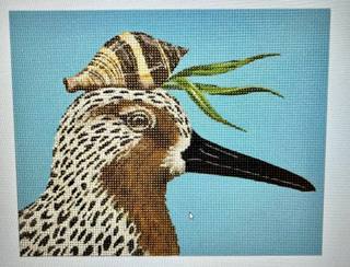 Red Knot & Shell by Melissa Shirley Designs (thumbnail)