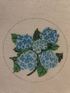 Hydrangea 18m by Edie and Ginger (via CBK) (thumbnail)