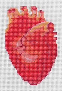 Human Anatomy Series - Heart by Spellbound Stitchery (thumbnail)
