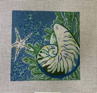 Shark Eye Shell w/ Starfish by PLD Designs (thumbnail)