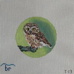 Rocky Saw Whet Owl by Blue Ridge Stitchery (thumbnail)