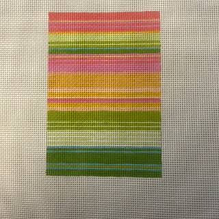 Lulu Stripes Pink Passport Insert by Elizabeth Crane Swartz (thumbnail)
