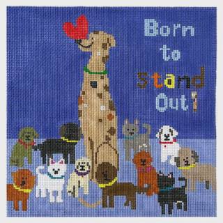 Born to Stand Out - Great Dane on 13 by Tango & Chocolate (thumbnail)