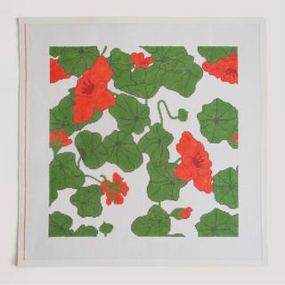 Nasturtiums by Tasha Lansbury (thumbnail)