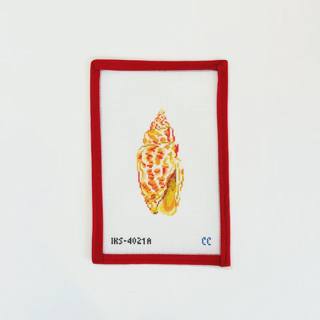 Miter Sea Shell by Initial K Studio (thumbnail)