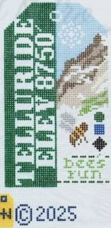 Telluride Vintage Ski Pass Tag by Hedgehog Needlepoint (thumbnail)