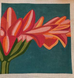 Orange Gerber Daisy by Alice Peterson (thumbnail)