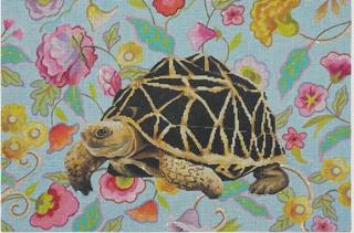 AN527 Turtle on Floral Background by Colors of Praise Art Studio (thumbnail)