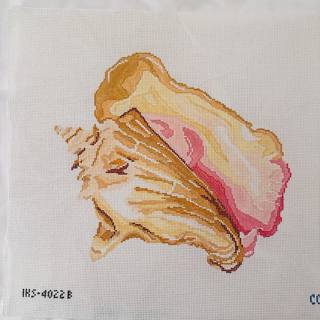 Large Queen Conch by Initial K Studio (thumbnail)