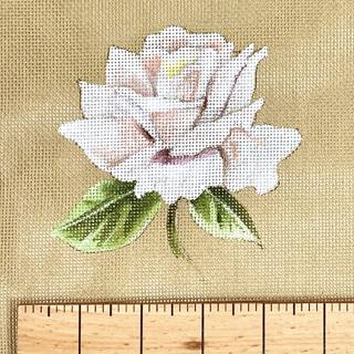 White Rose by Colors of Praise Art Studio (thumbnail)