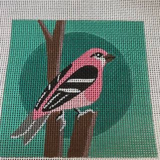Pink and Green Bird Square x4490 by Alice Peterson (thumbnail)