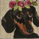 Dachshund by Melissa Prince Designs (thumbnail)