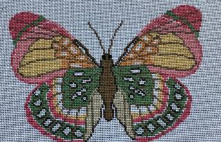 Pink and Green Butterfly LRG by Initial K Studio (thumbnail)