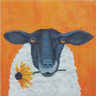 Sheep with Daisy Square by Scott Church (thumbnail)