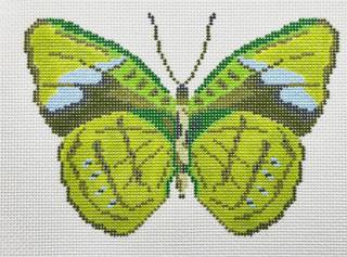Green Butterfly by Initial K Studio (thumbnail)