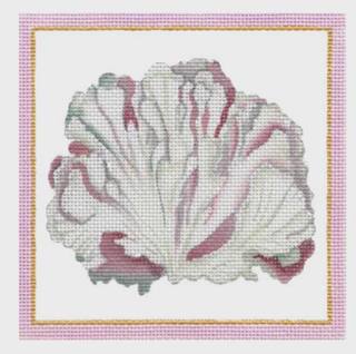 Coral 1523D by Mary Lake Thompson (via Melissa Shirley) (thumbnail)