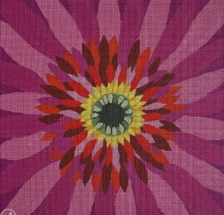 Pink Gerber Daisy by Alice Peterson (thumbnail)